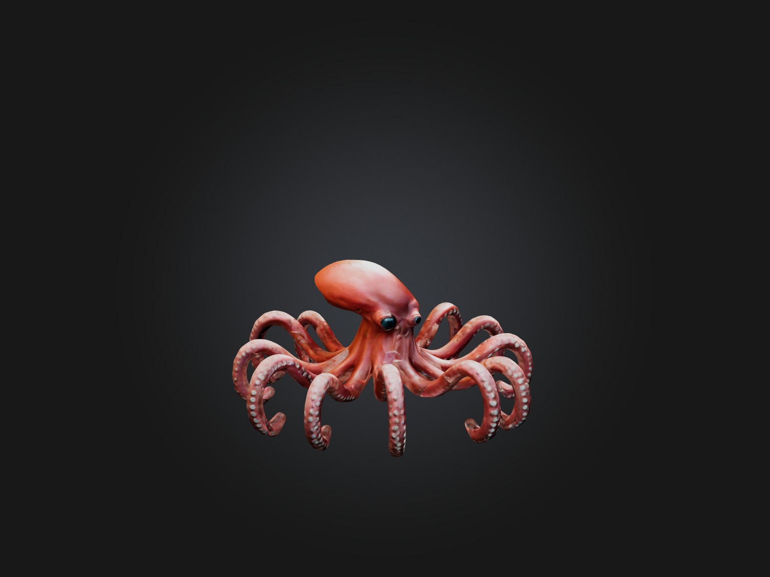 RoboOctopus Model Low-poly 3D model_7