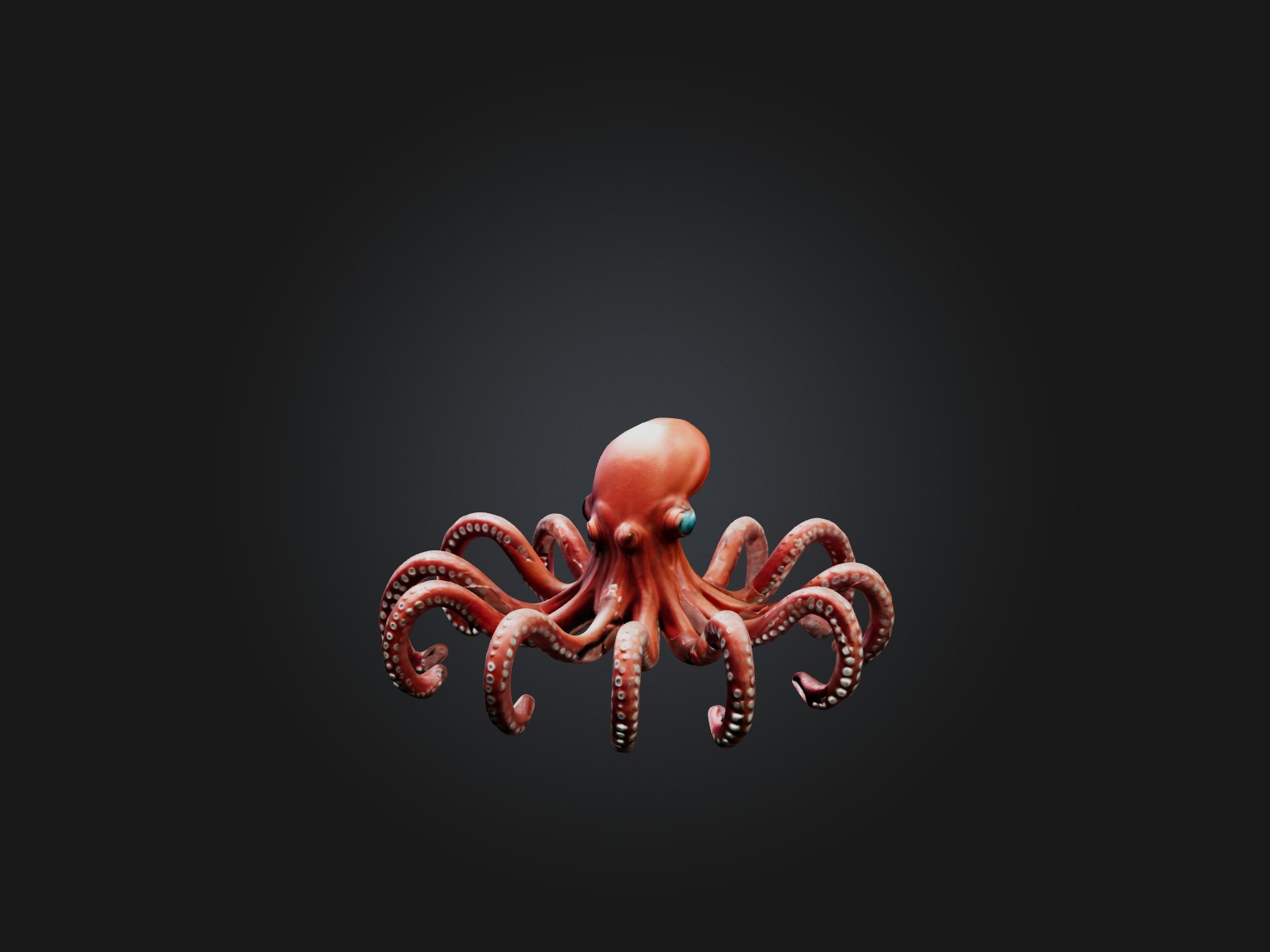 RoboOctopus Model Low-poly 3D model_8