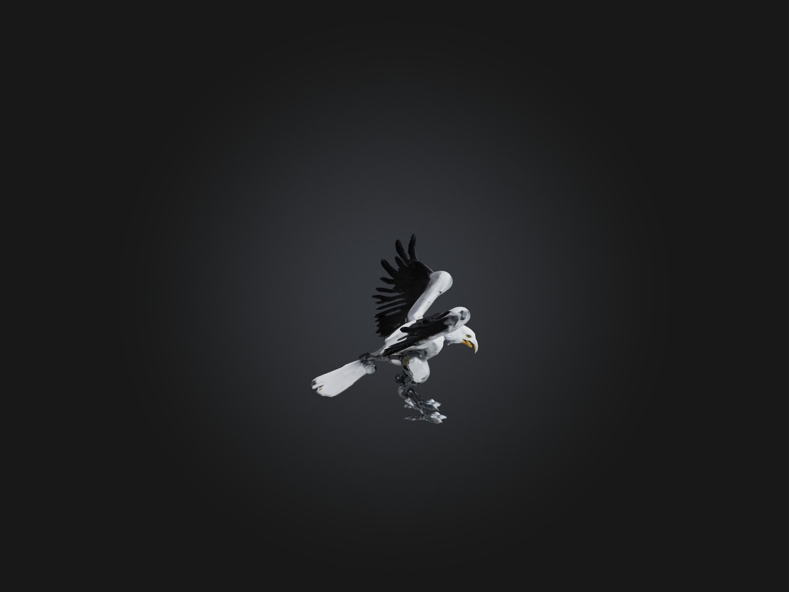 RoboEagle Model Low-poly 3D model_7