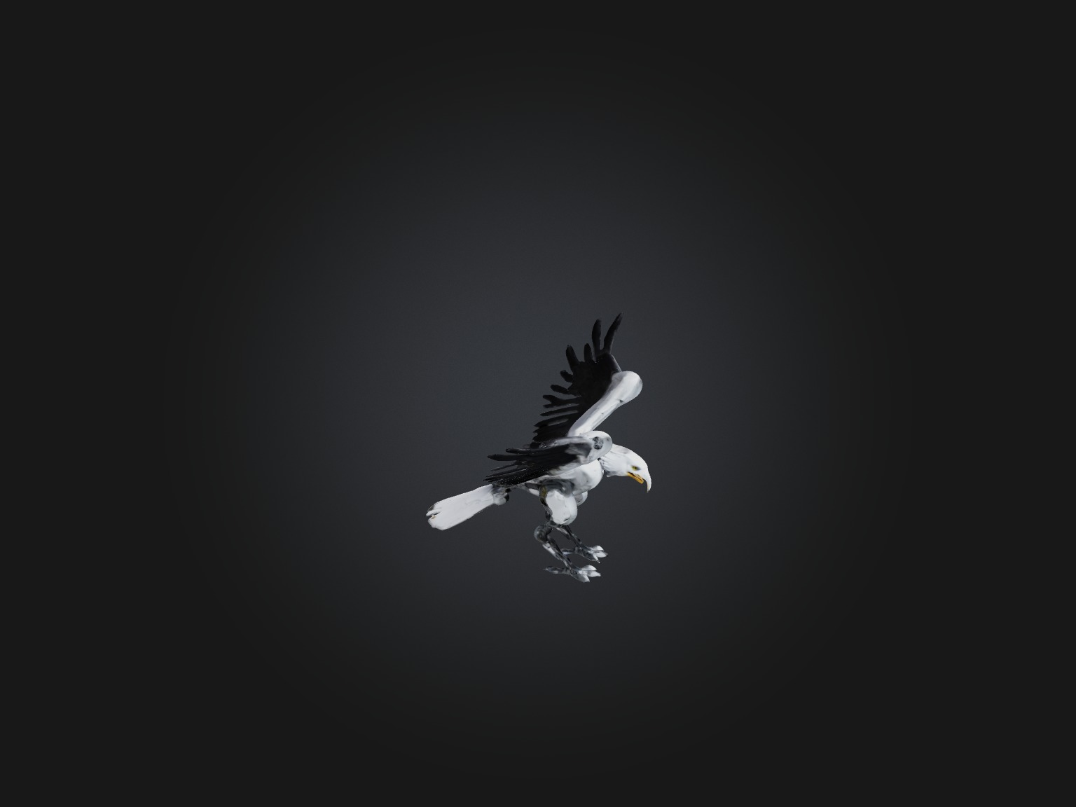 RoboEagle Model Low-poly 3D model_6