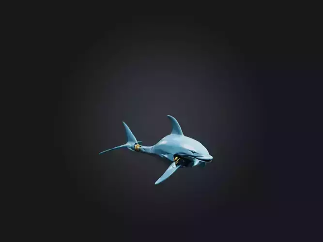 RoboDolphin Model Low-poly 3D model