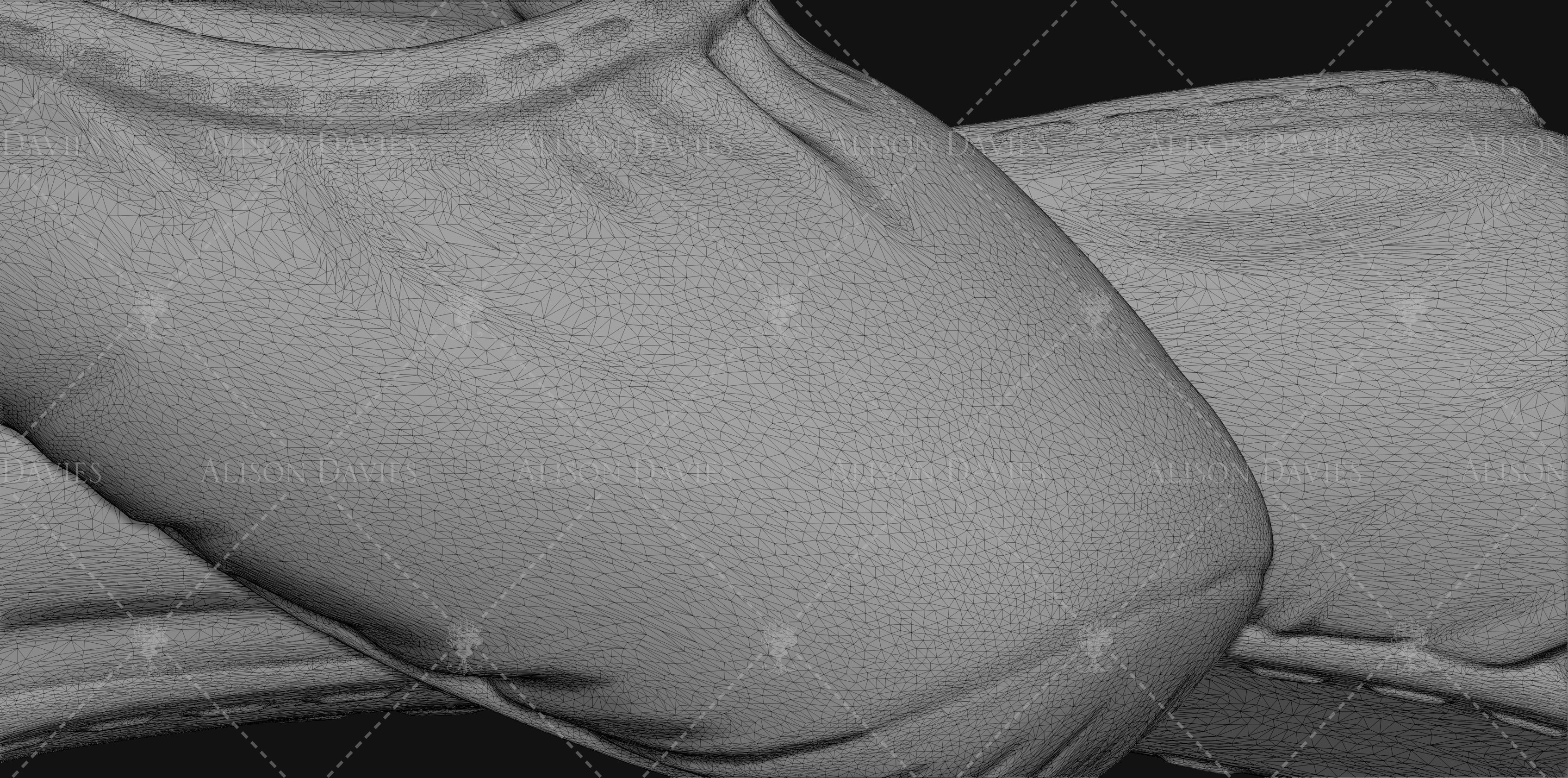 SET of 3 pairs of Ballet slippers shoes printable  3D print model_3