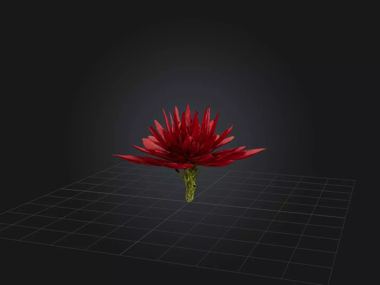 Red Herb Low-poly 3D model_0