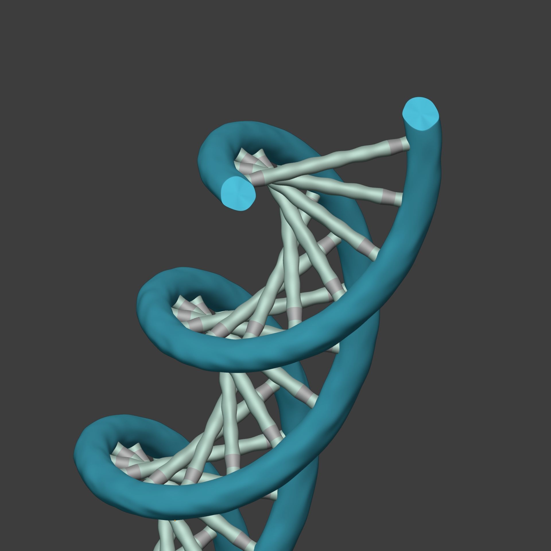 DNA Strand  -- Molecule -- Helix -- Sequencing  RNA Genetics Low-poly 3D model_11