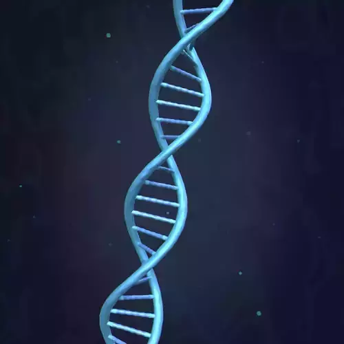 DNA Strand  -- Molecule -- Helix -- Sequencing  RNA Genetics Low-poly 3D model