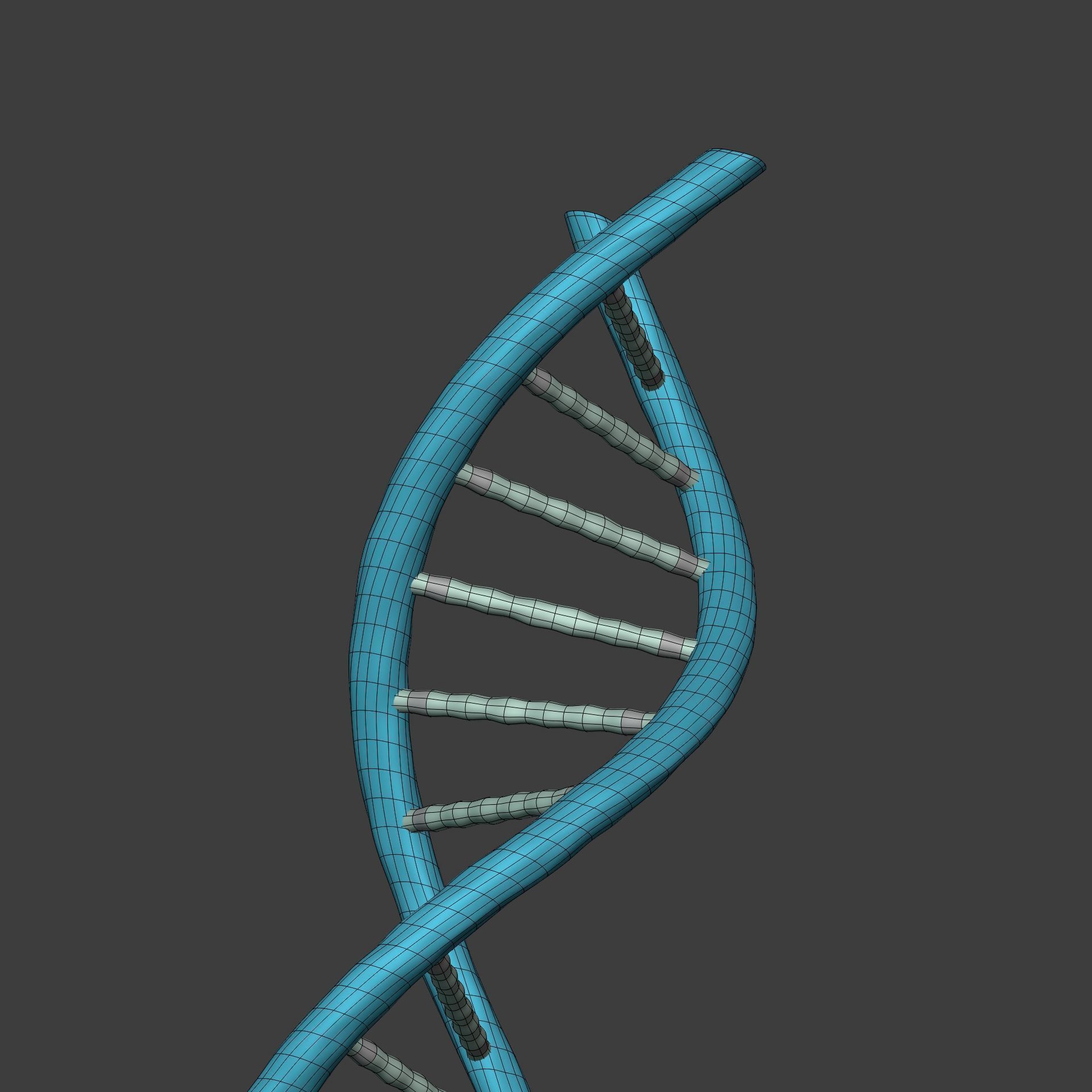 DNA Strand  -- Molecule -- Helix -- Sequencing  RNA Genetics Low-poly 3D model_10