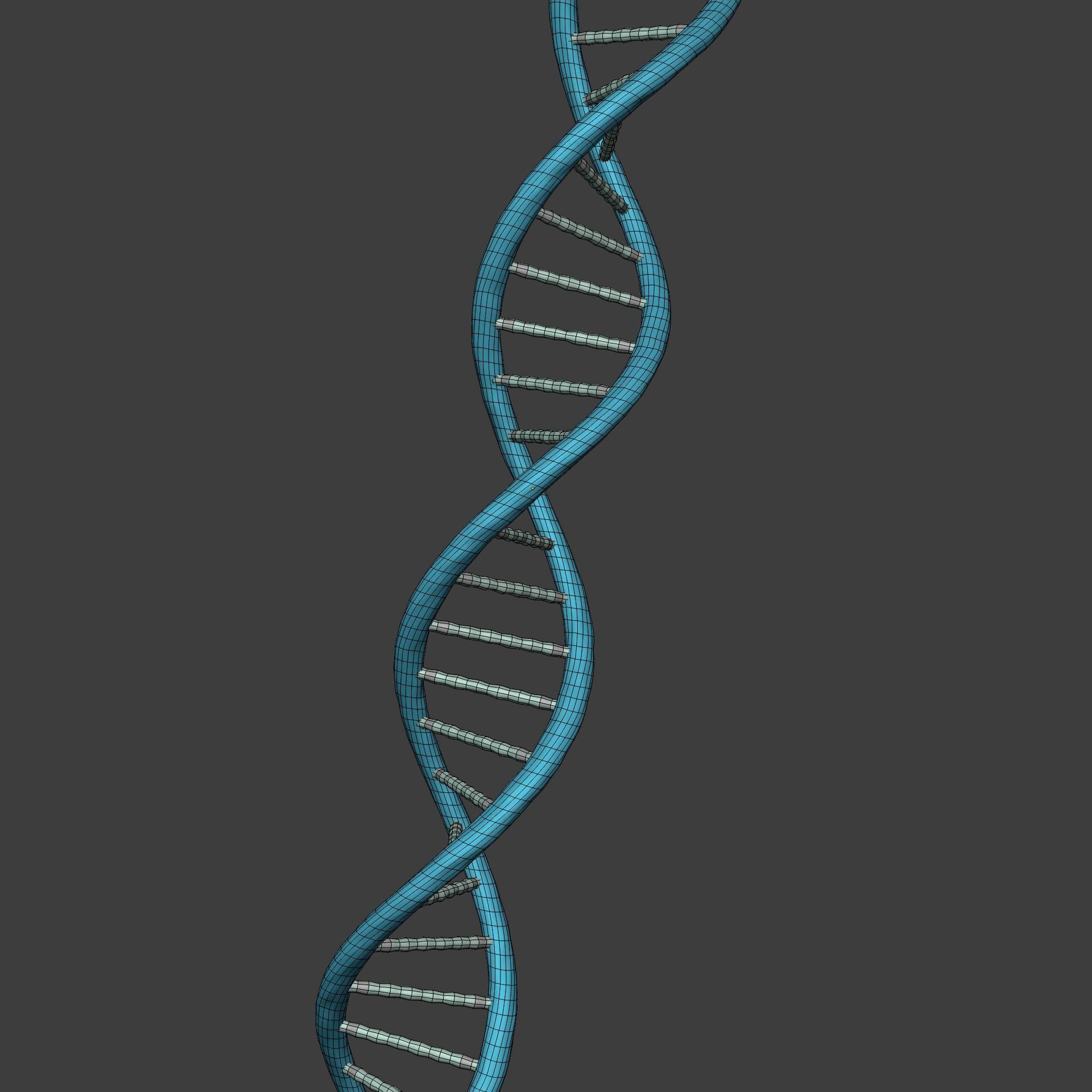 DNA Strand  -- Molecule -- Helix -- Sequencing  RNA Genetics Low-poly 3D model_2