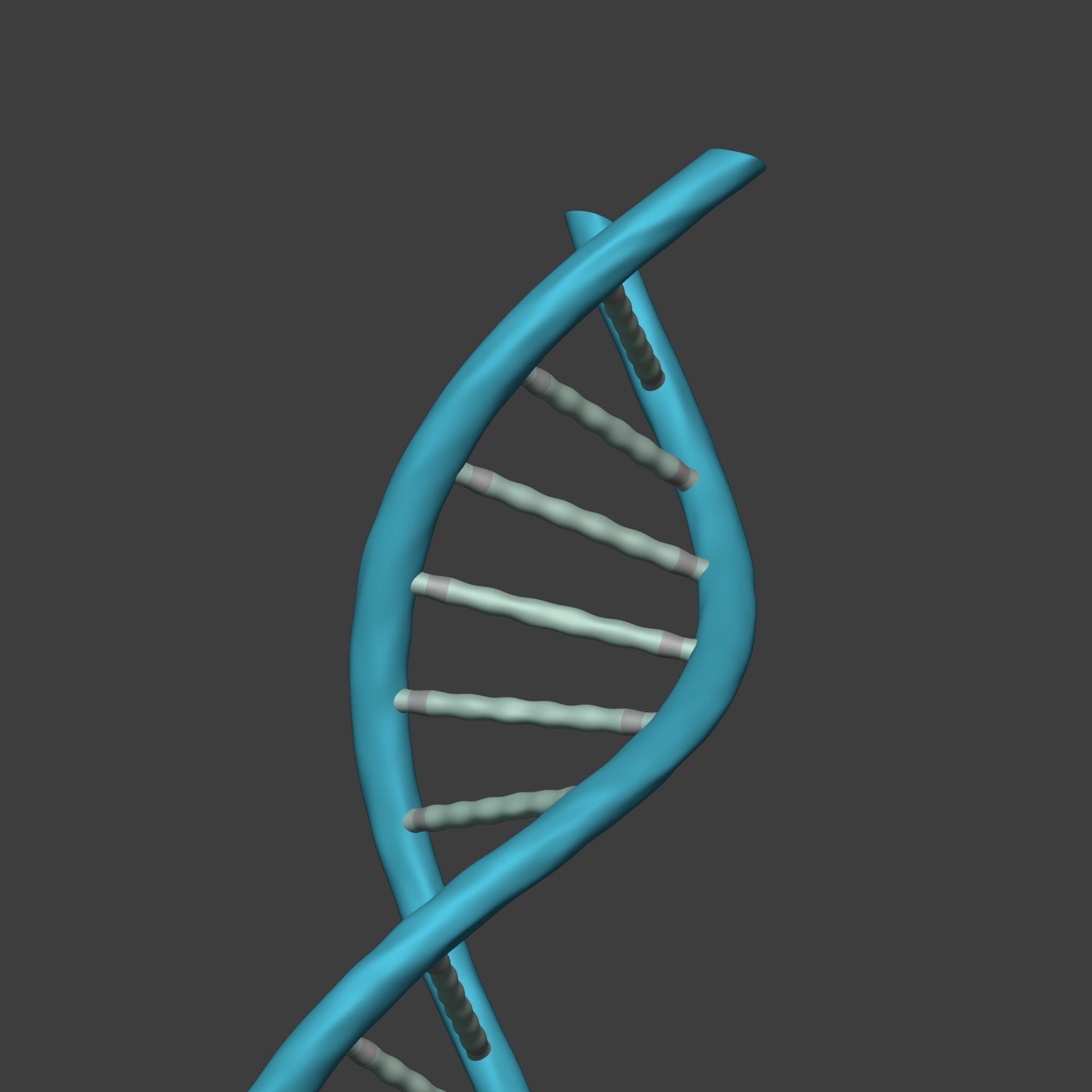 DNA Strand  -- Molecule -- Helix -- Sequencing  RNA Genetics Low-poly 3D model_9
