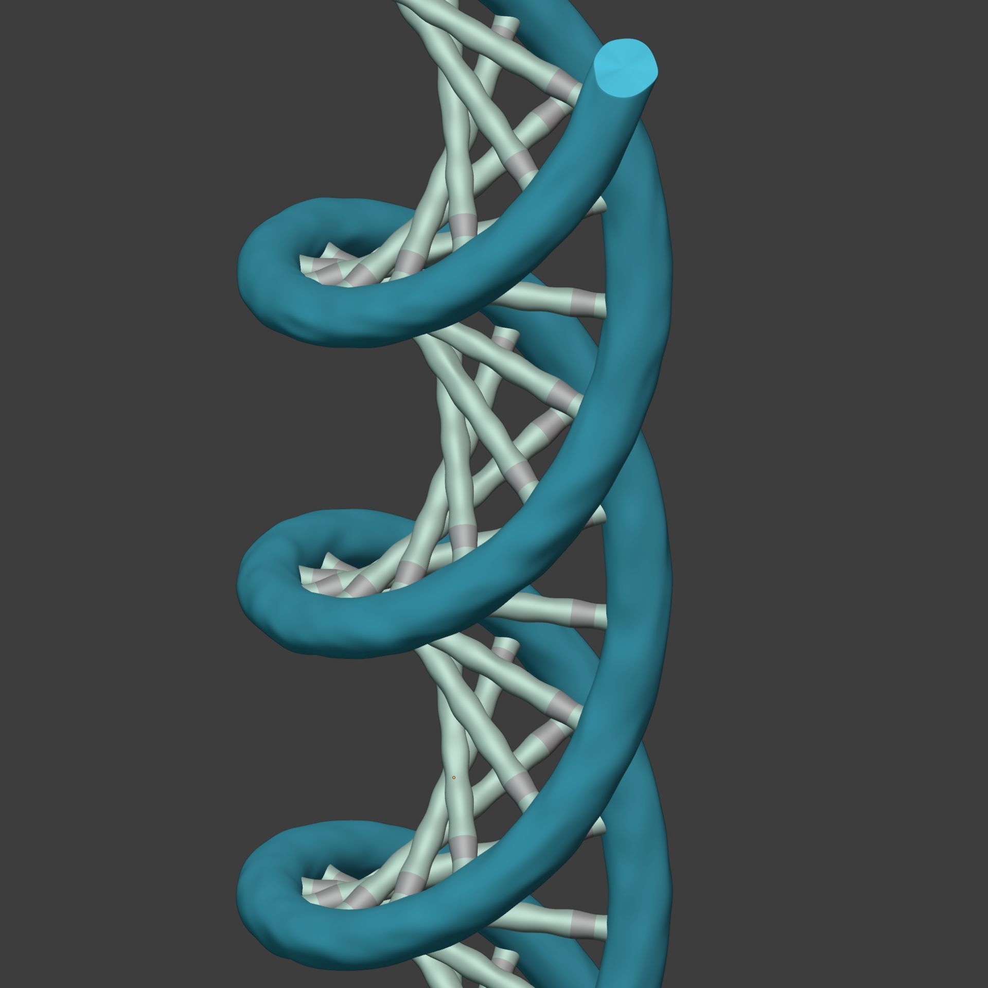 DNA Strand  -- Molecule -- Helix -- Sequencing  RNA Genetics Low-poly 3D model_13