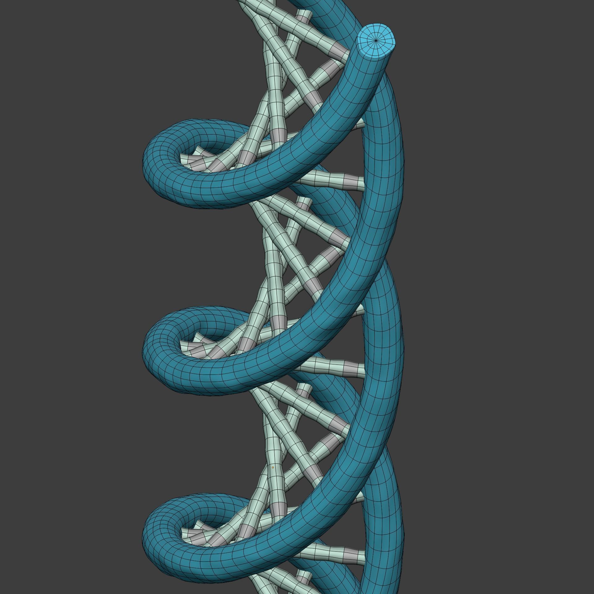 DNA Strand  -- Molecule -- Helix -- Sequencing  RNA Genetics Low-poly 3D model_14