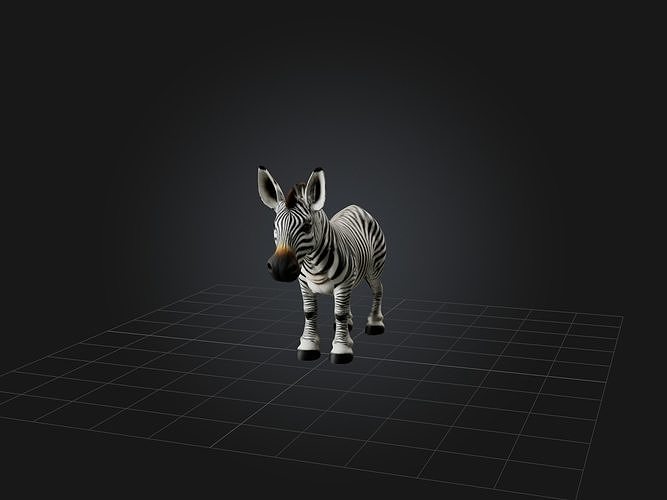 Realistic Zebra Model Low-poly 3D model