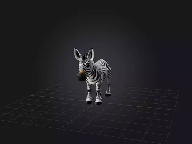 Realistic Zebra Model