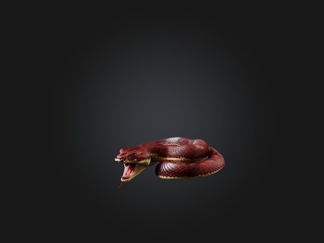 Realistic Wounded Snake Model Low-poly 3D model