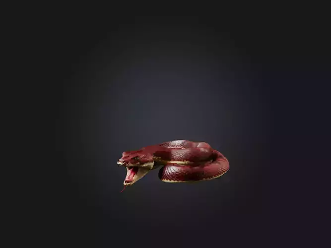Realistic Wounded Snake Model