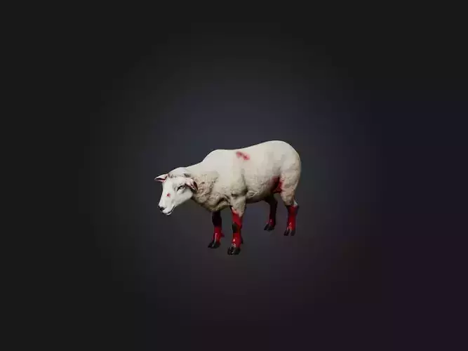Realistic Wounded Sheep Model