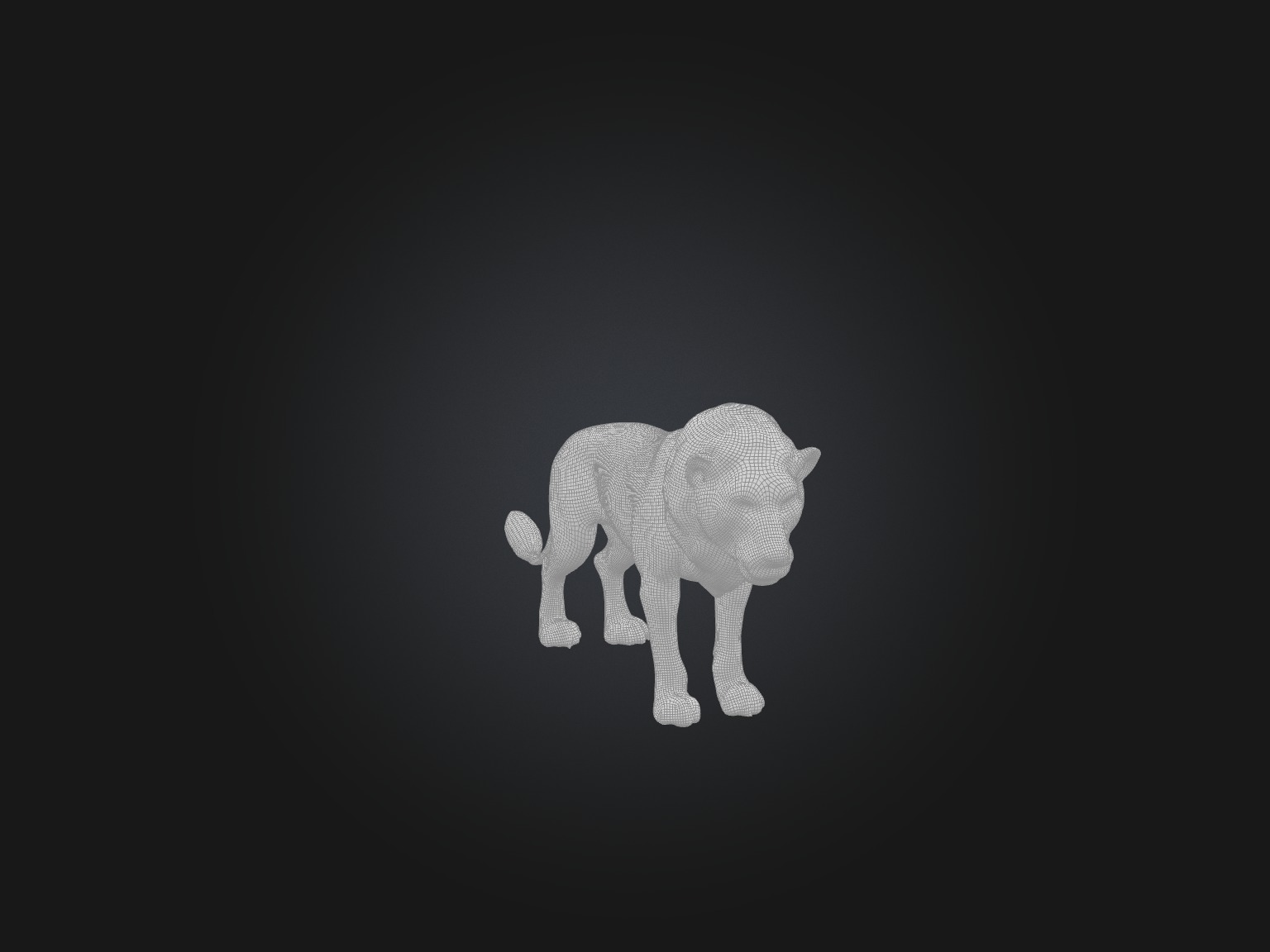 Realistic Wounded Lion Model Low-poly 3D model_2
