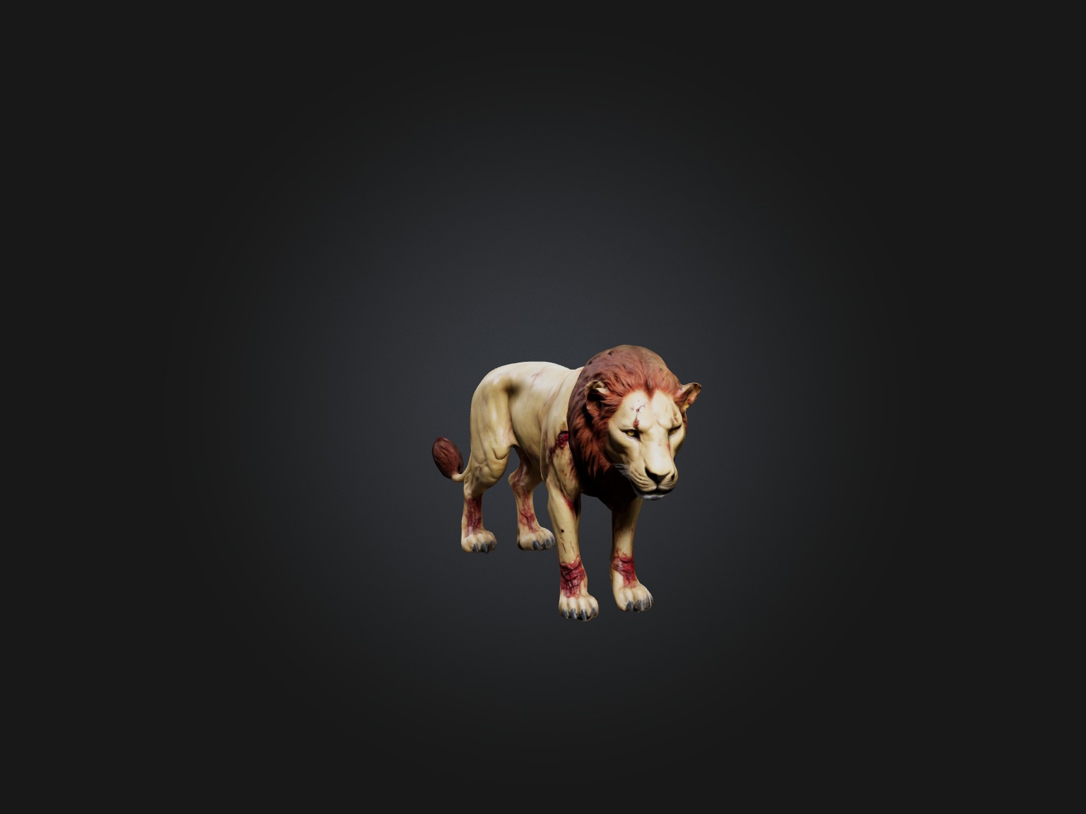 Realistic Wounded Lion Model Low-poly 3D model_1