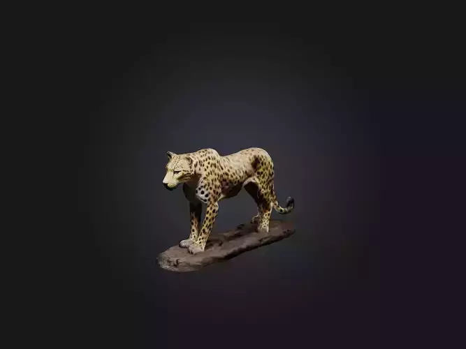 Realistic Wounded Leopard Model