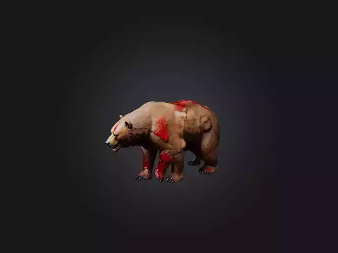 Realistic Wounded Bear Model
