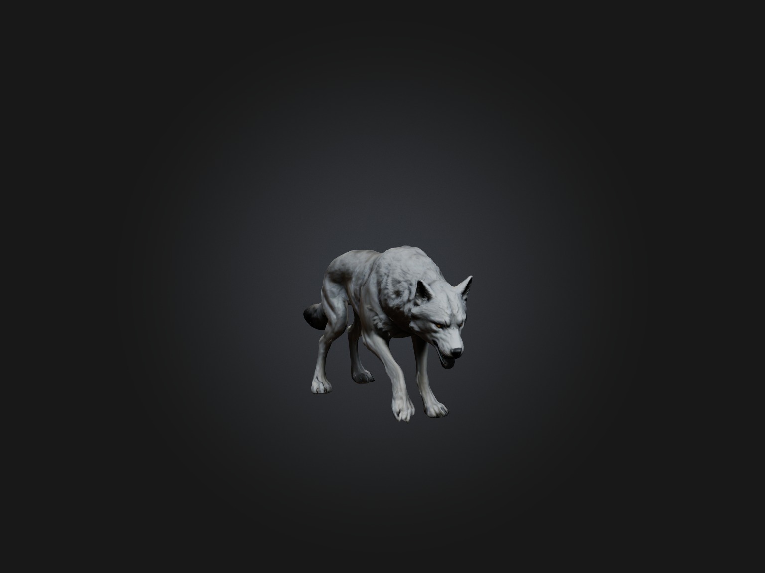 Realistic Wolf Modell Low-poly 3D model_7
