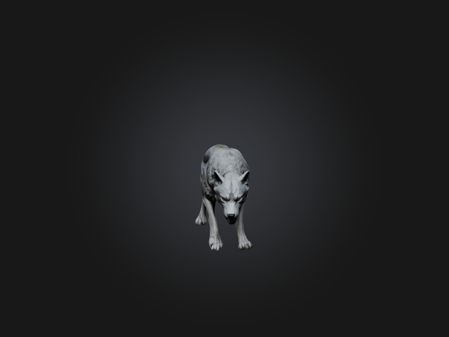 Realistic Wolf Modell Low-poly 3D model_5