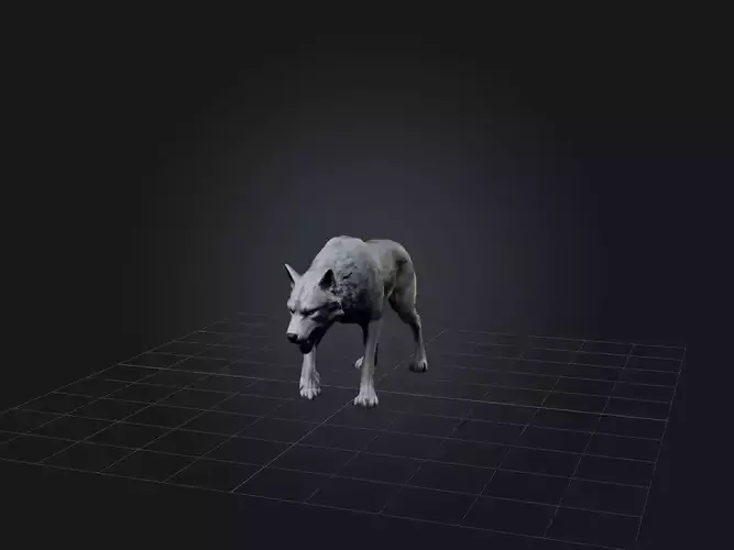 Realistic Wolf Modell