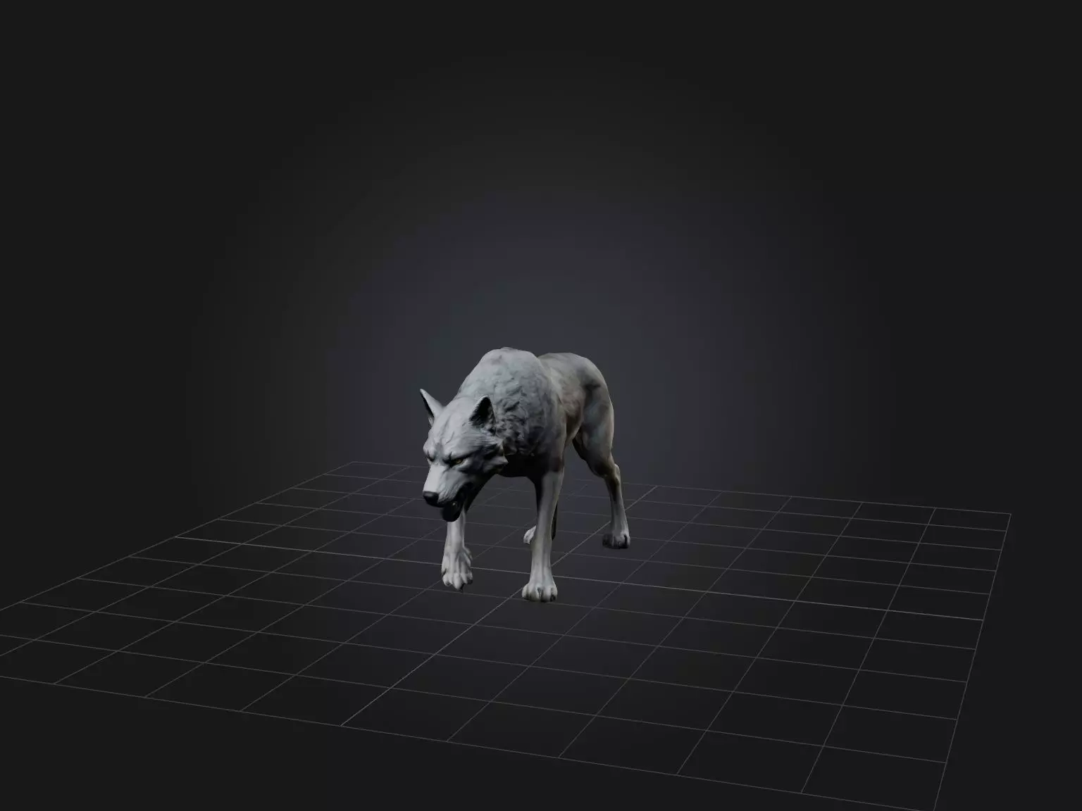 Realistic Wolf Modell Low-poly 3D model_0