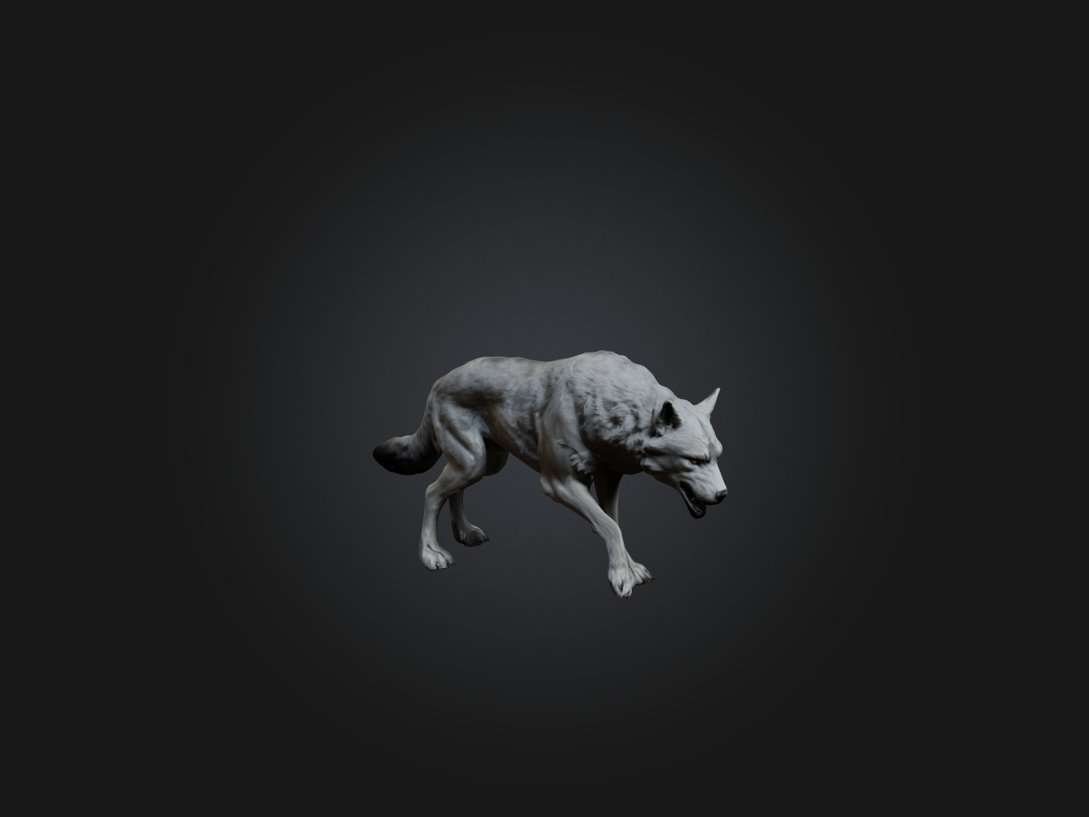 Realistic Wolf Modell Low-poly 3D model_6