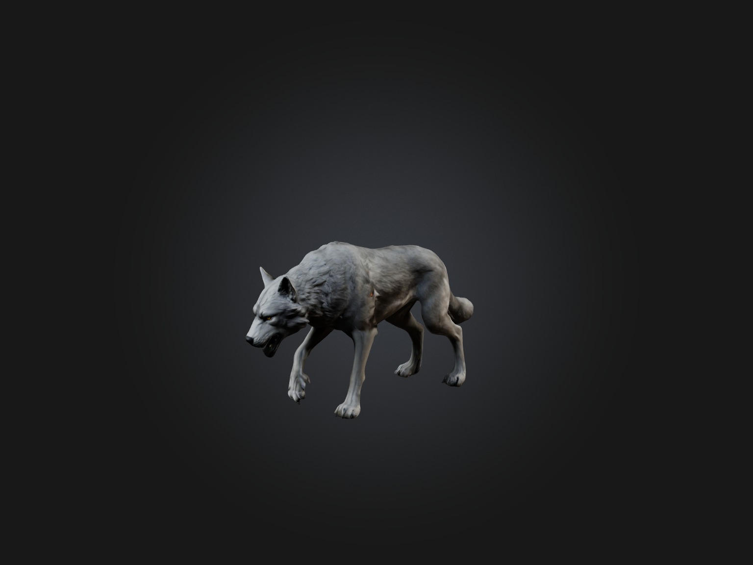 Realistic Wolf Modell Low-poly 3D model_1
