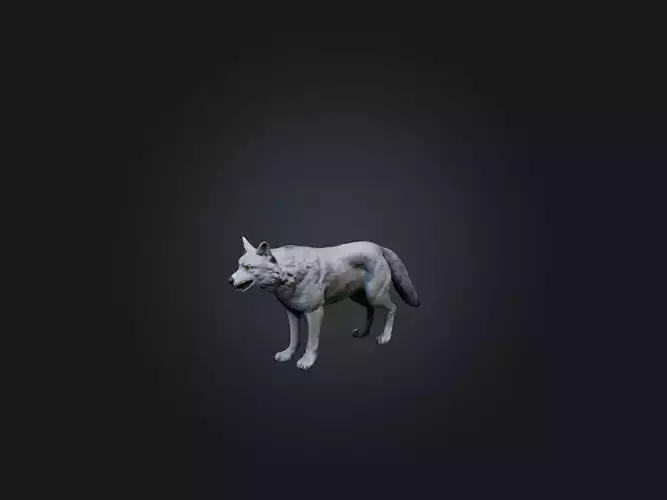 Realistic Wolf Model