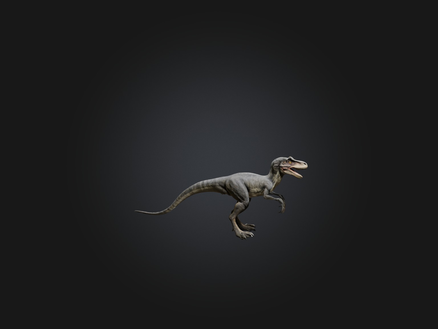 Realistic Velociraptor Model Low-poly 3D model_7