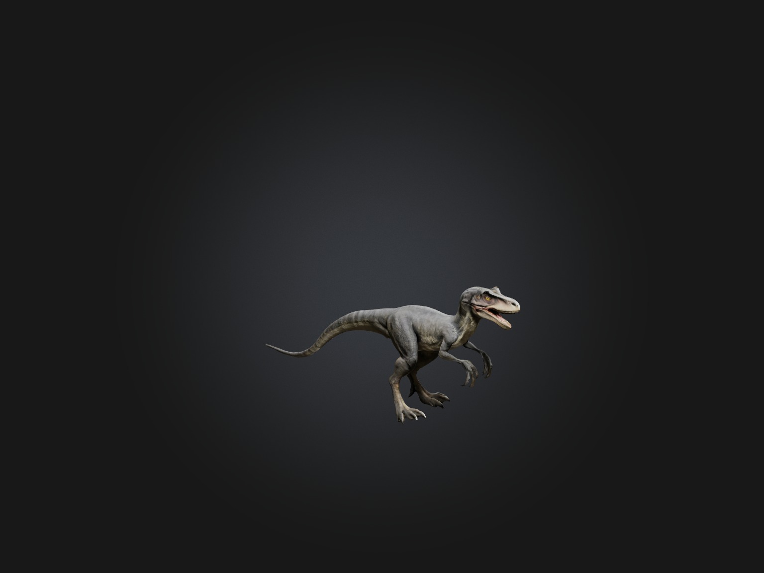 Realistic Velociraptor Model Low-poly 3D model_6