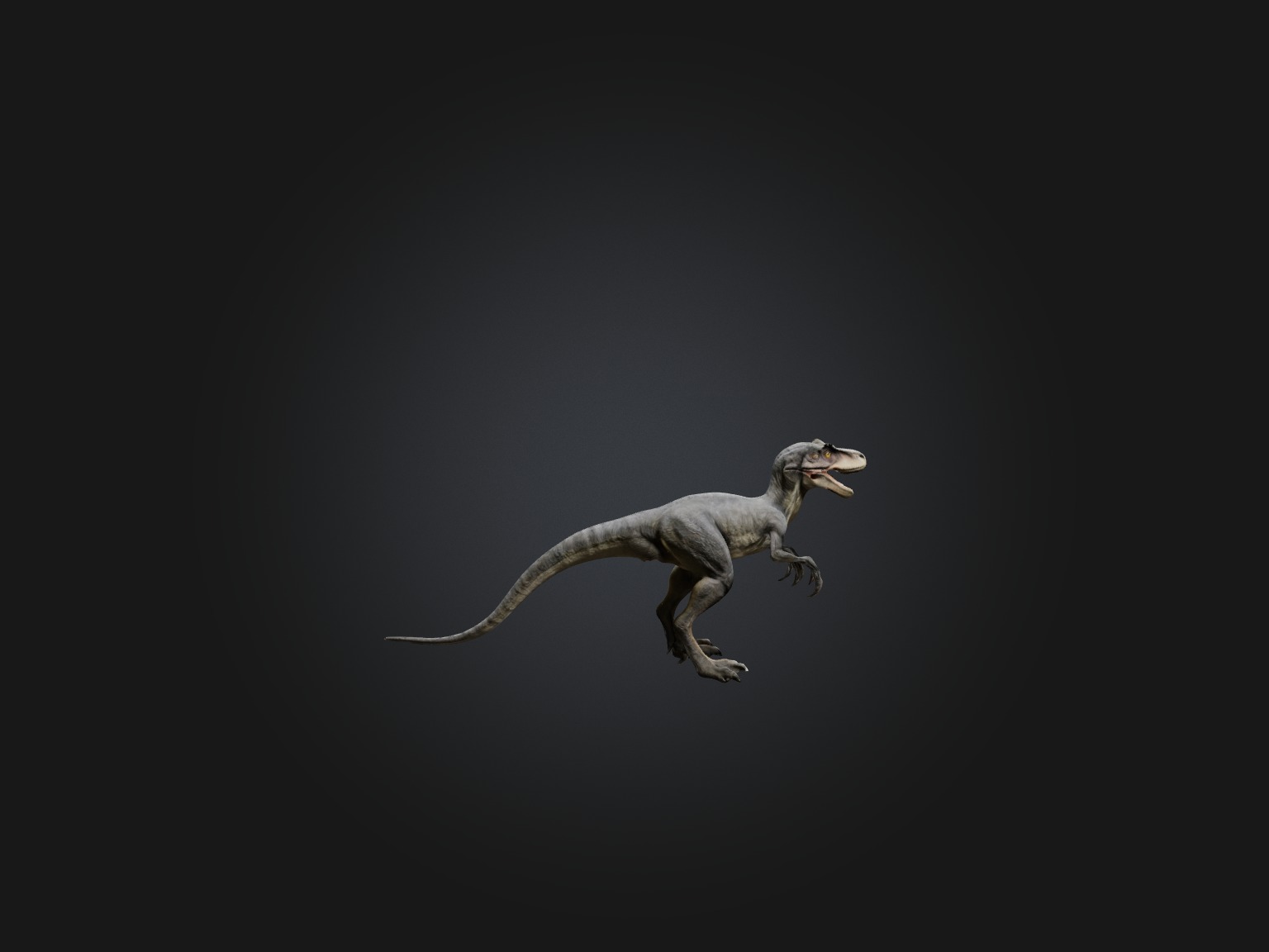 Realistic Velociraptor Model Low-poly 3D model_8