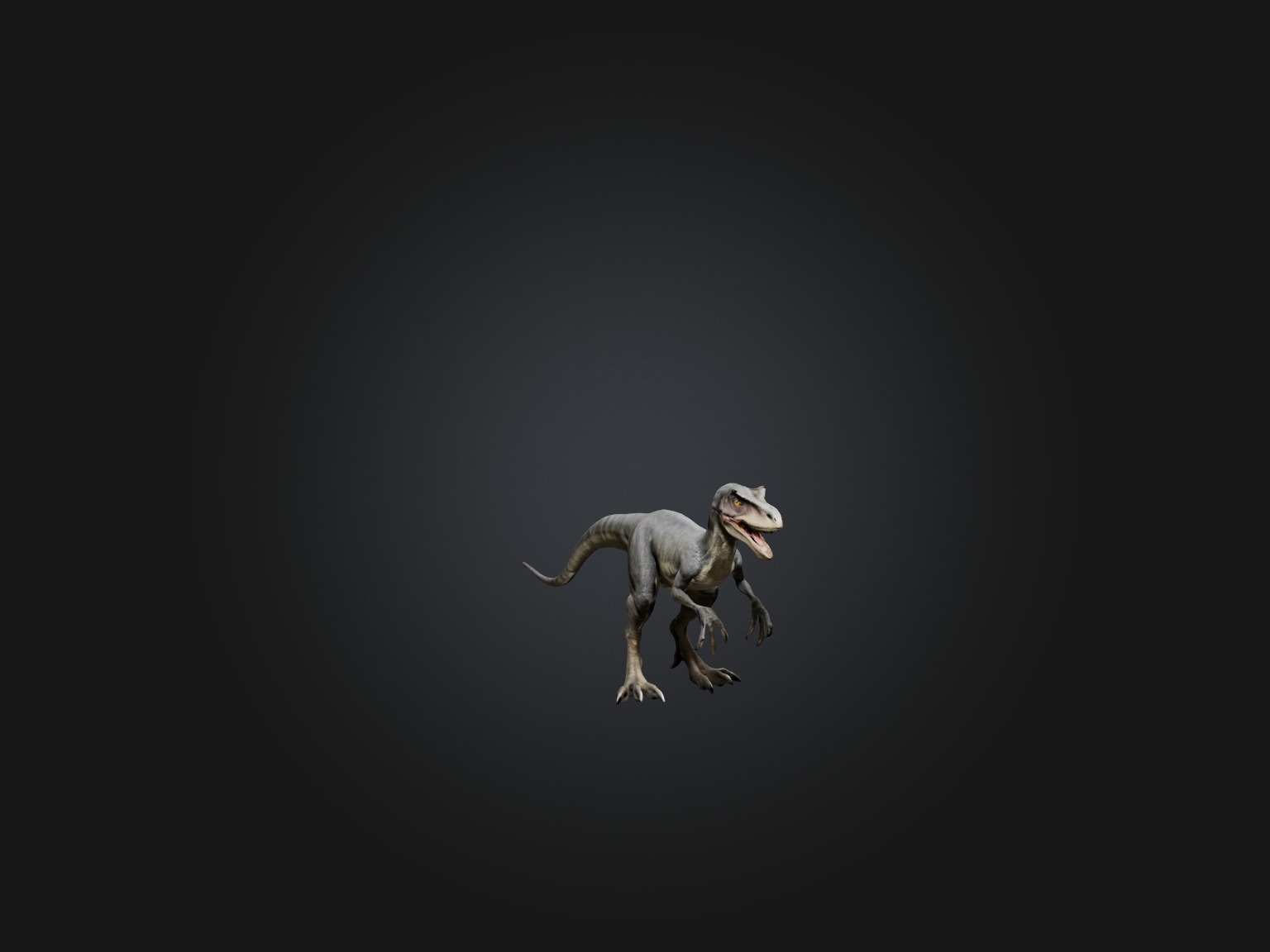 Realistic Velociraptor Model Low-poly 3D model_5
