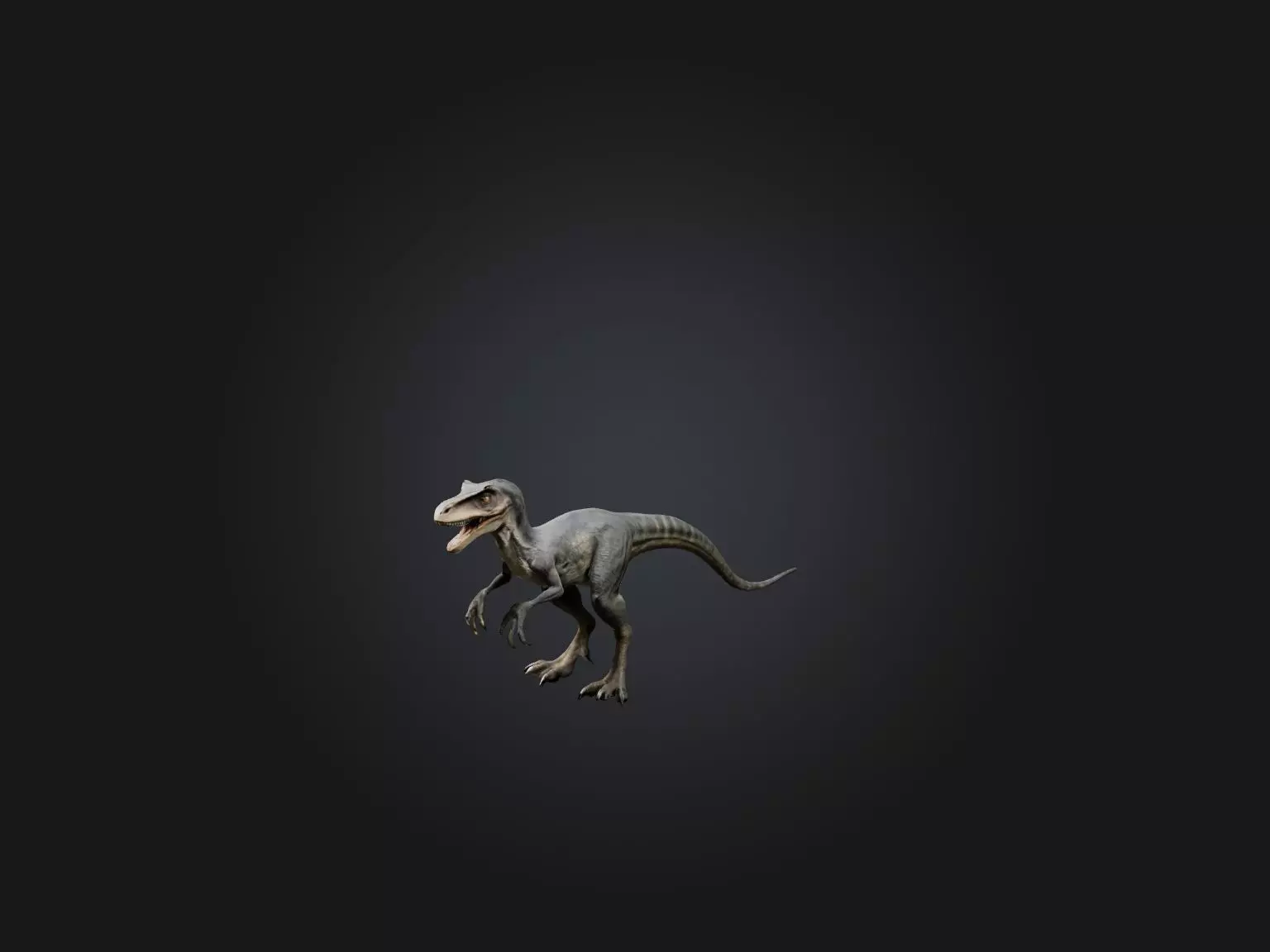 Realistic Velociraptor Model Low-poly 3D model_0