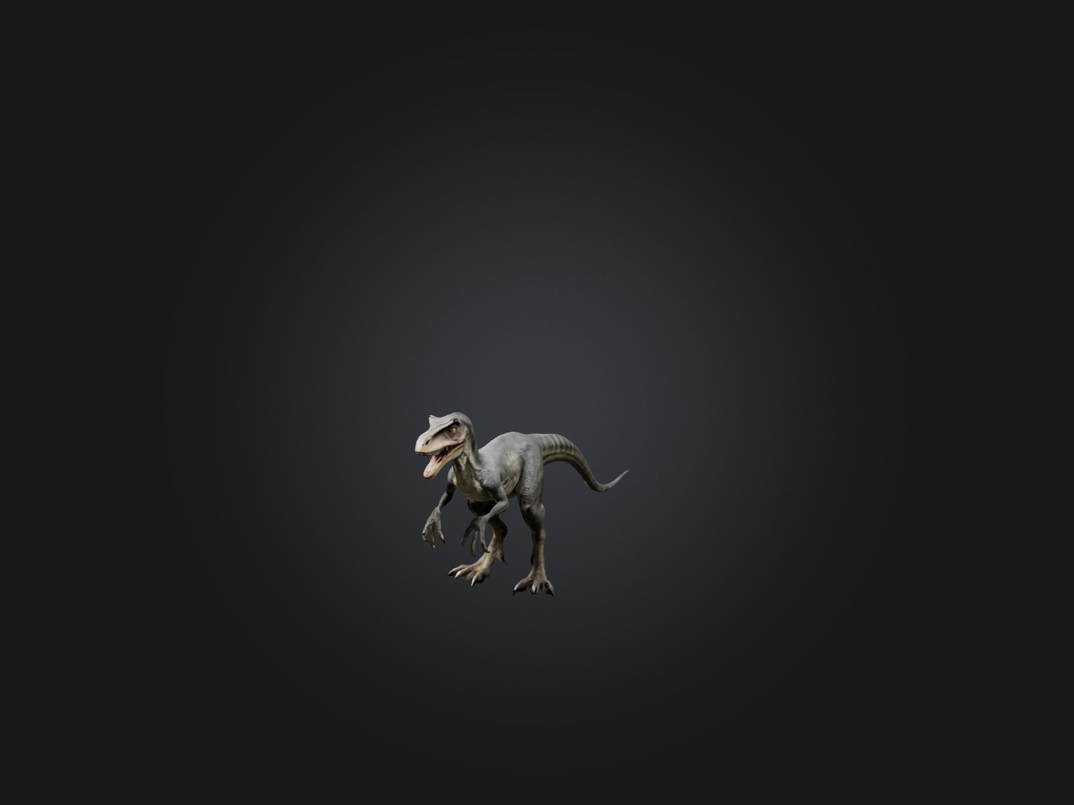 Realistic Velociraptor Model Low-poly 3D model_1