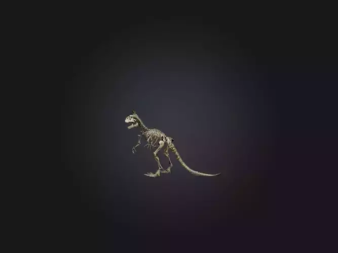 Realistic Tyrannosaurus Rex Skeleton Model