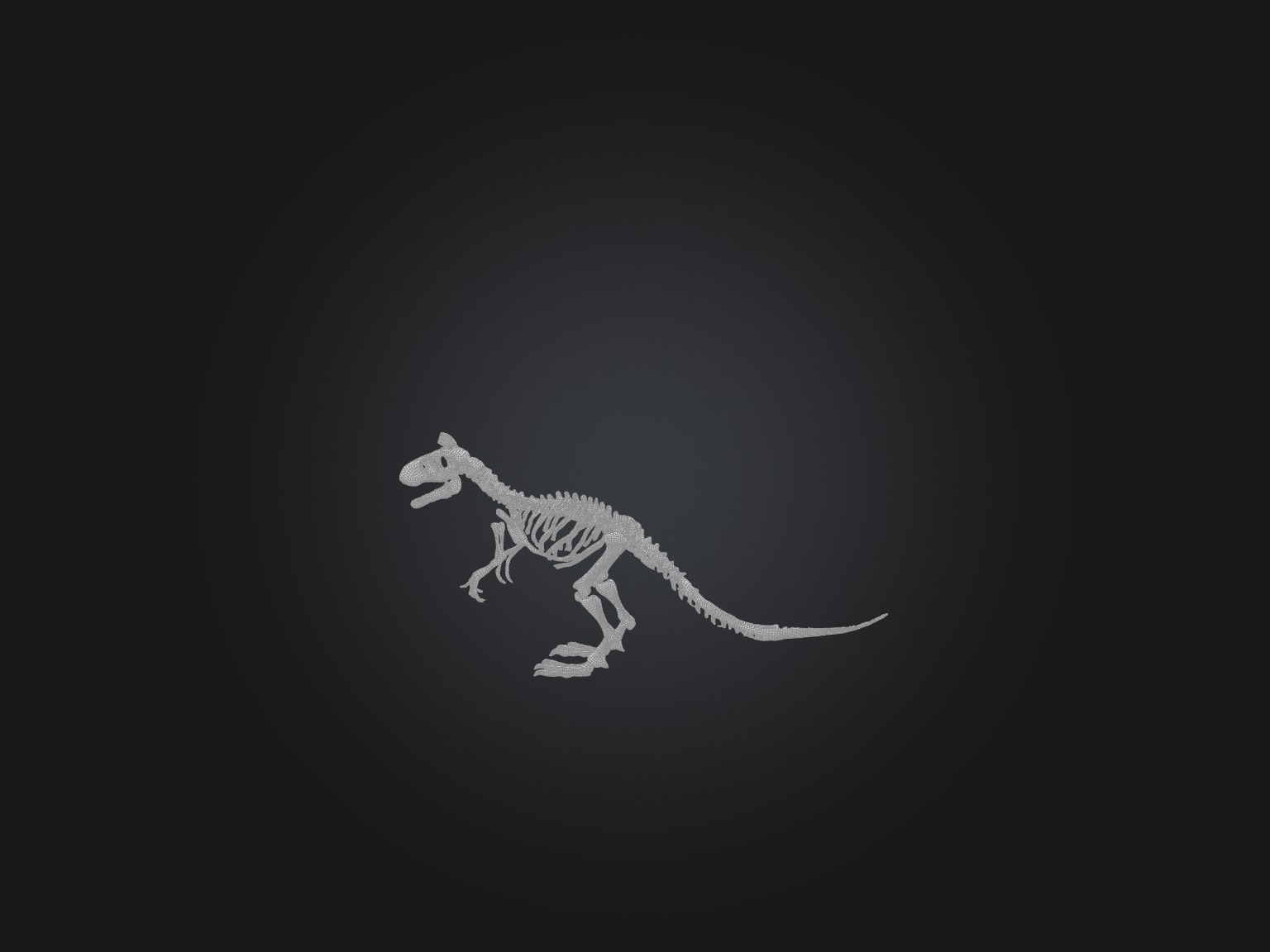 Realistic Tyrannosaurus Rex Skeleton Model Low-poly 3D model_3