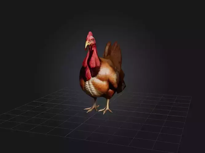 Realistic Turkey Model
