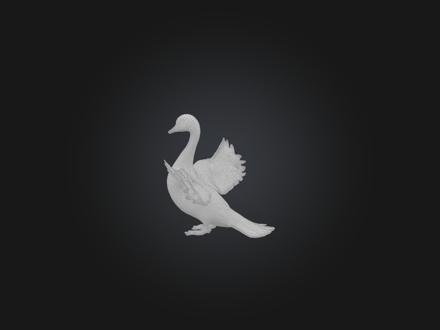 Realistic Swan Model Low-poly 3D model_2