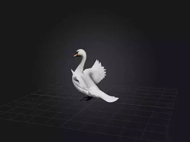 Realistic Swan Model