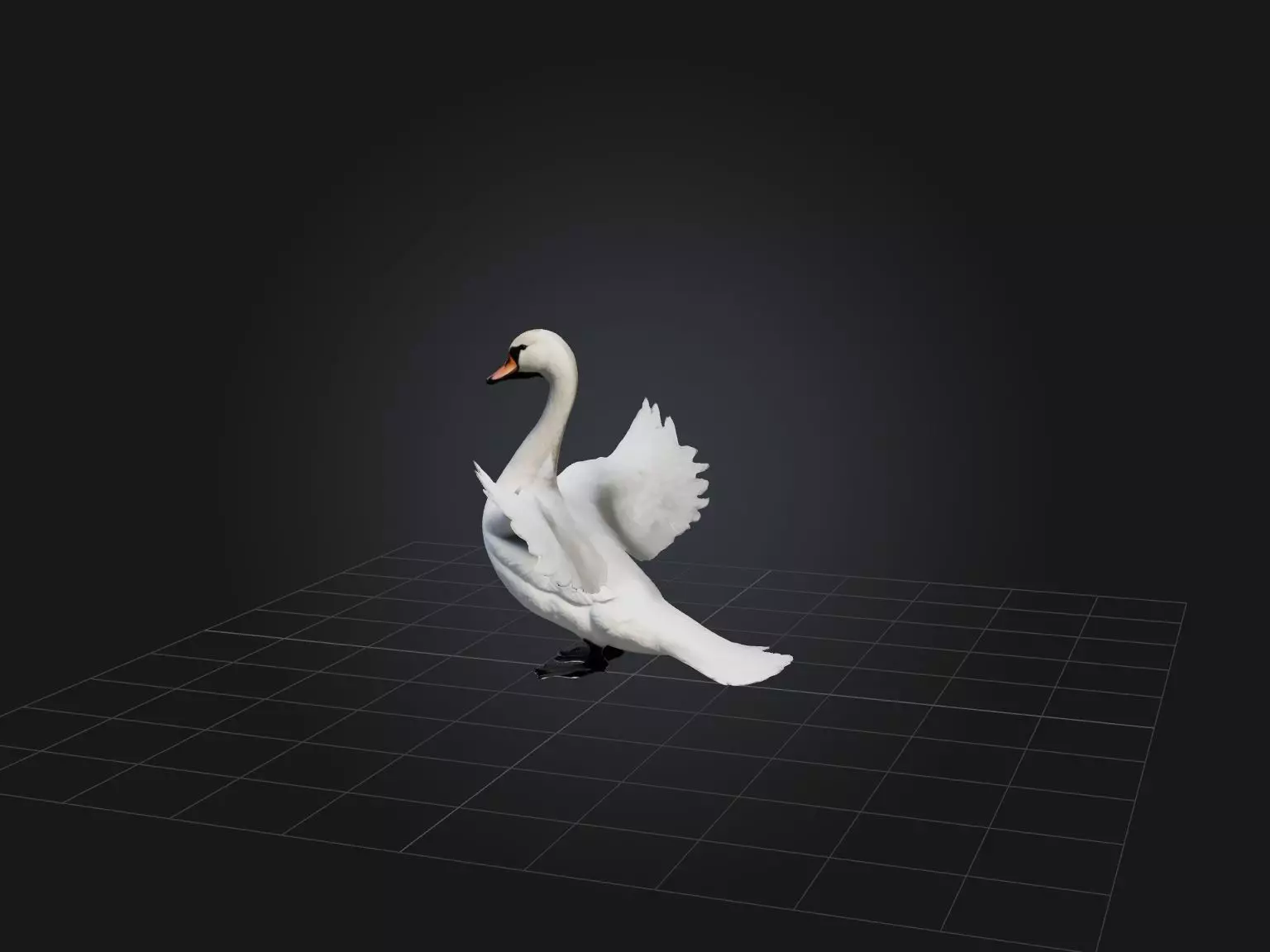 Realistic Swan Model Low-poly 3D model_0