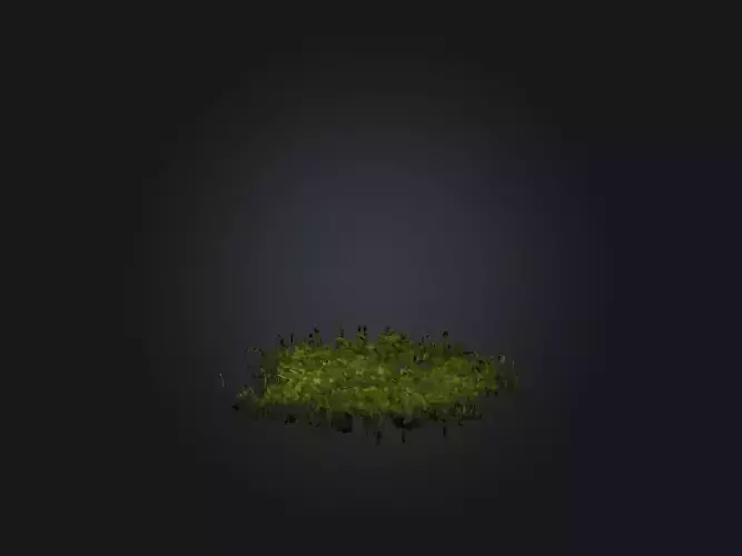 Realistic Swamp Model