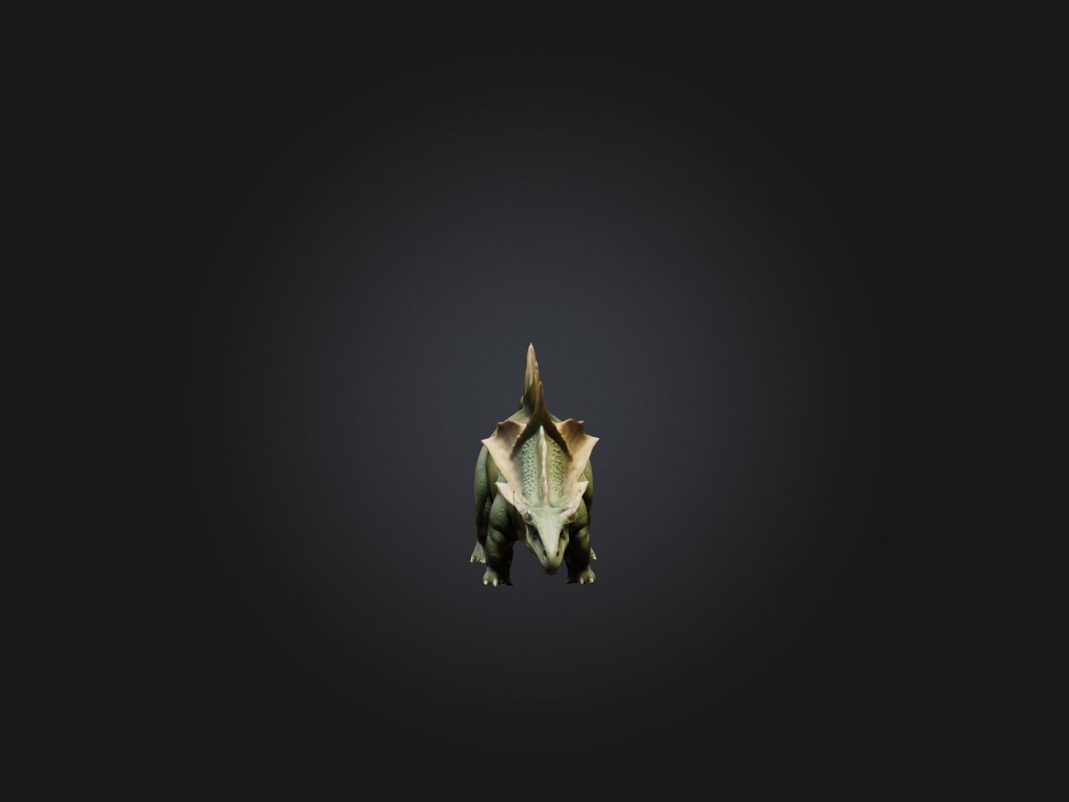 Realistic Stegosaurus Model Low-poly 3D model_4