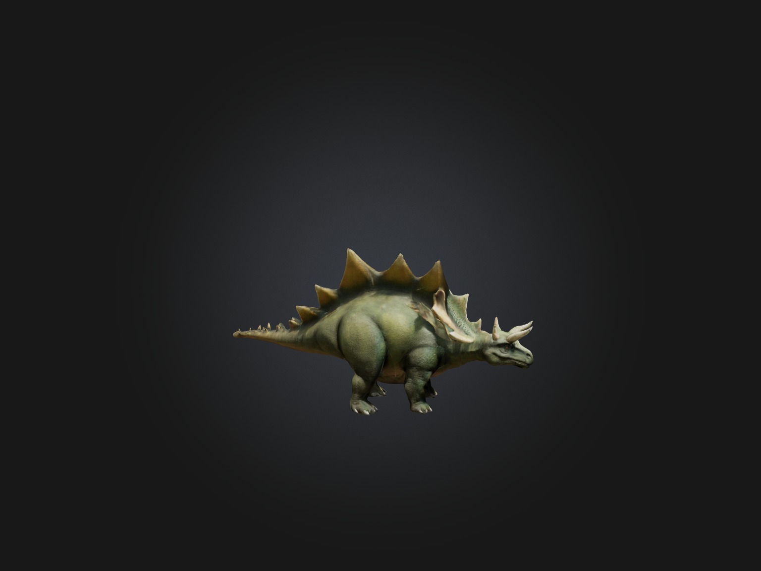 Realistic Stegosaurus Model Low-poly 3D model_7