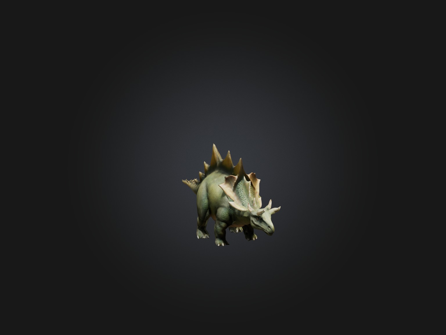 Realistic Stegosaurus Model Low-poly 3D model_5