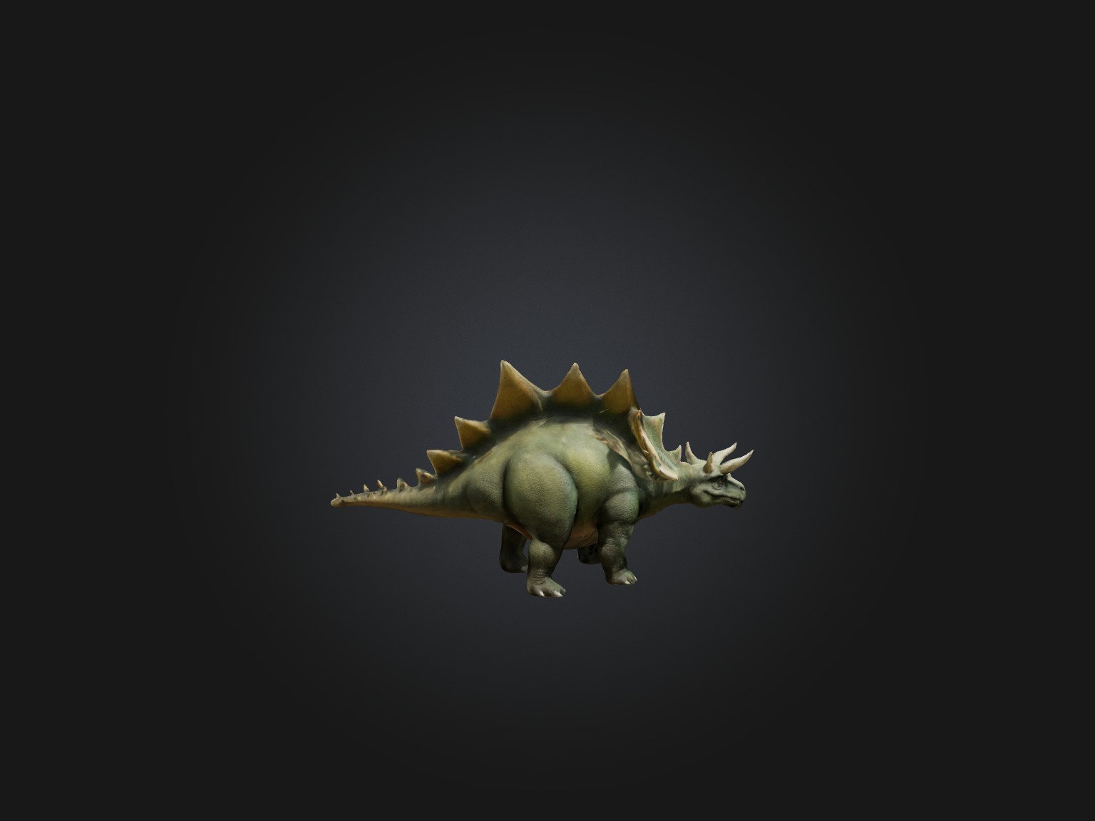 Realistic Stegosaurus Model Low-poly 3D model_8