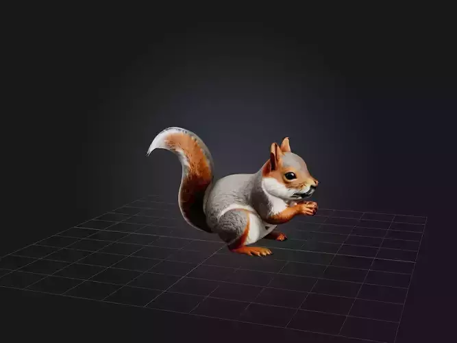 Realistic Squirrel Model