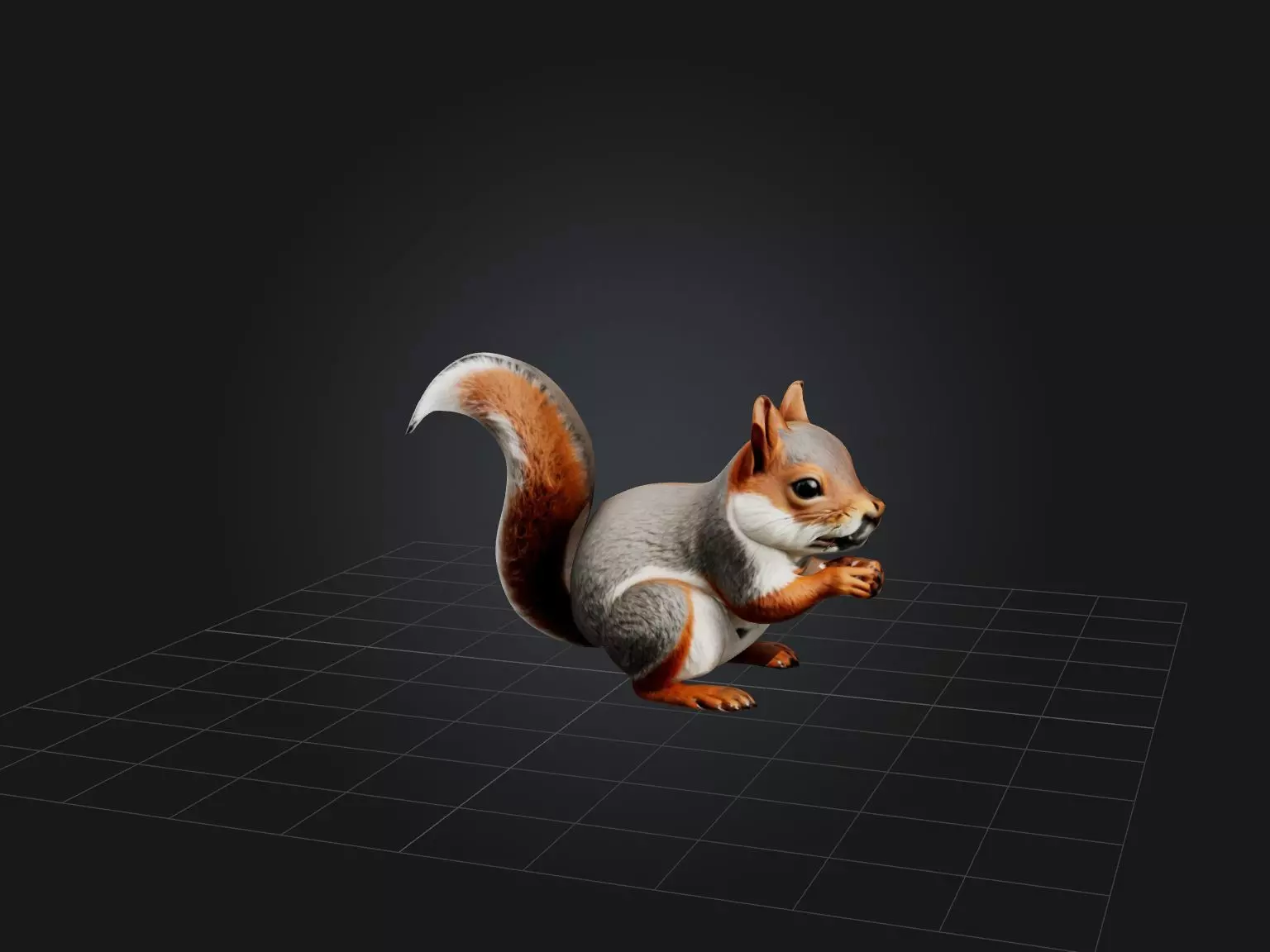 Realistic Squirrel Model Low-poly 3D model_0
