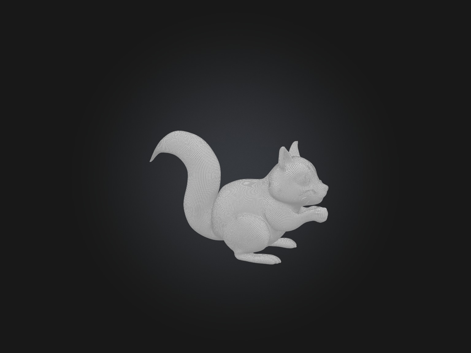 Realistic Squirrel Model Low-poly 3D model_2